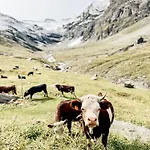 Maison De La Montagne - & Relax