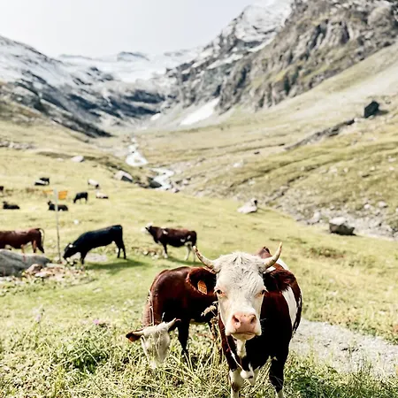 Maison De La Montagne - & Relax