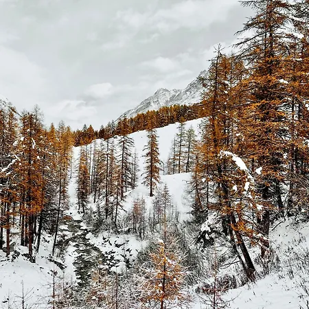 Maison De La Montagne - & Relax Arvier