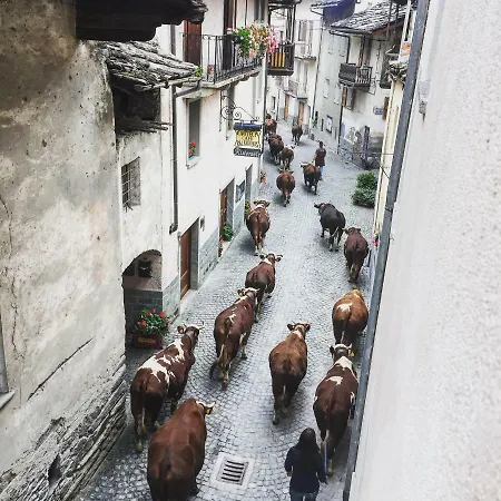 Frühstückspension Maison De La Montagne - & Relax