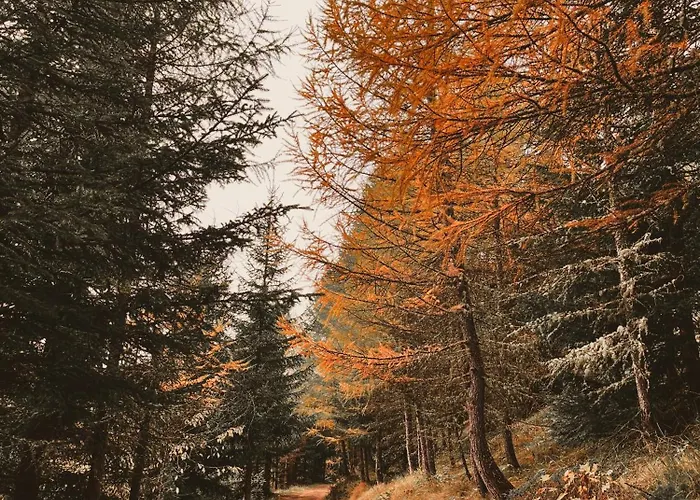 Maison De La Montagne - & Relax Bed & Breakfast 3*